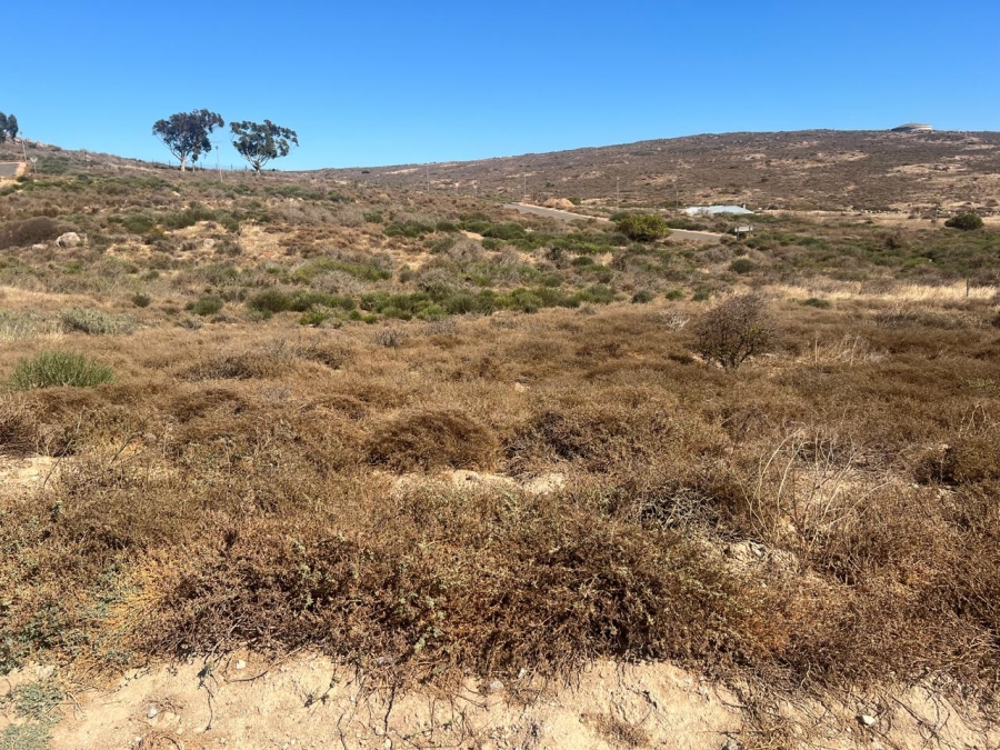 Commercial Property for Sale in St Helena Views Western Cape